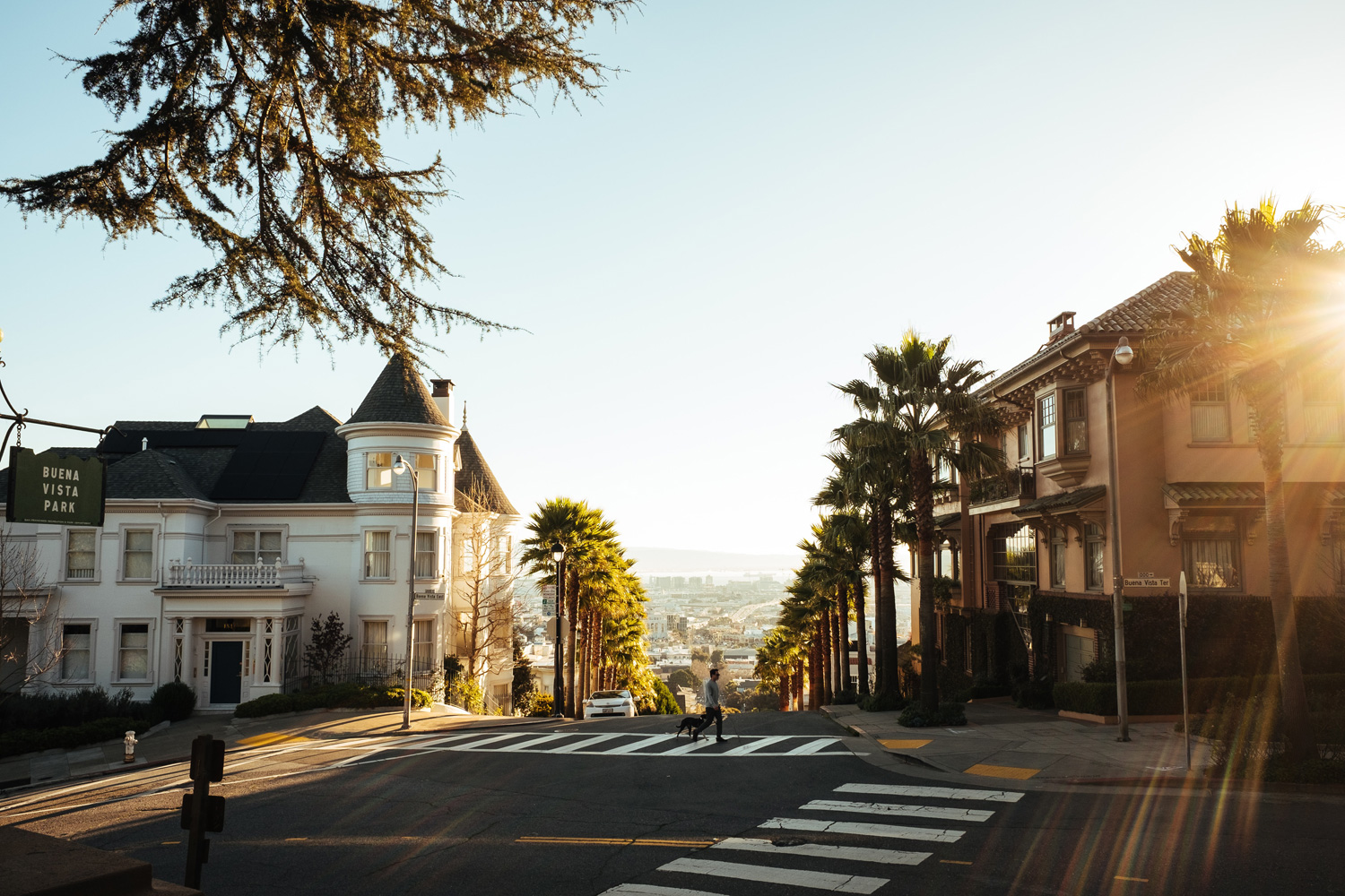 houses near road with palm trees in california